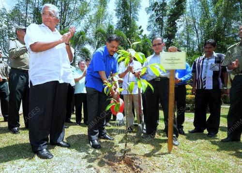 KL29_07082014_TANAM_POKOK