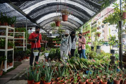 KEDAI BUNGA DAN NURSERI BEROPERASI