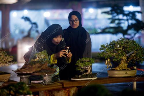 KL29_10122017_ORKID_BN201712093765