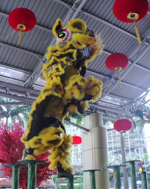 KL29_12022016_TARIAN_SINGA_1