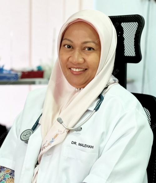 DR MALEHAH MOHD NOH
