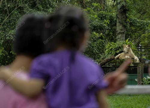 ZOO NEGARA