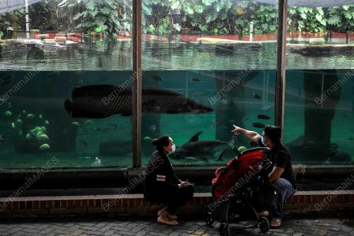 ZOO NEGARA DIBUKA SEMULA