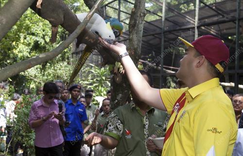 KL29_23082016_ZOO