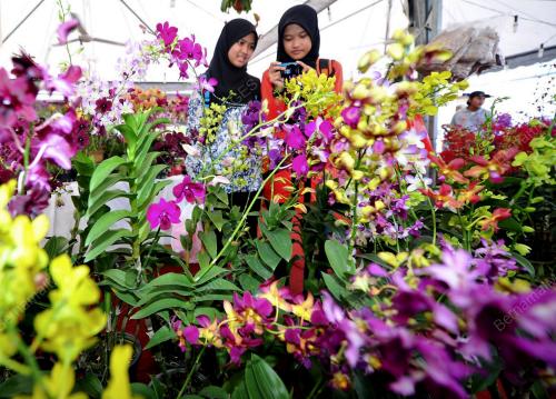 KL29_24112012_MAHA