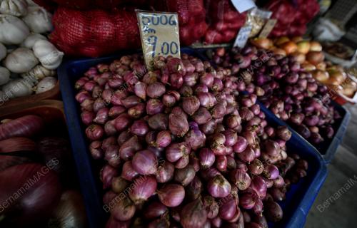 TINJAUAN HARGA BAWANG