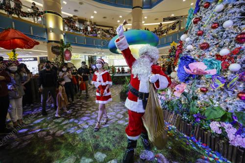 WANDER WONDER CHRISTMAS