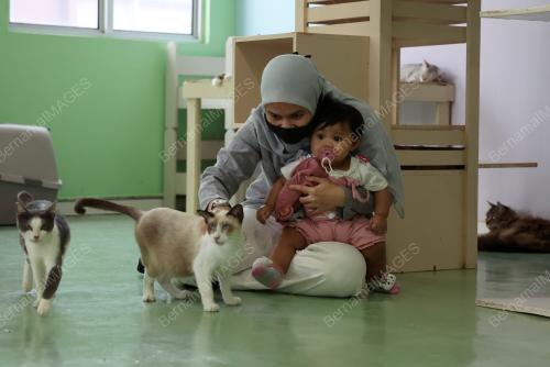 CAT CAFE AND ADOPTION