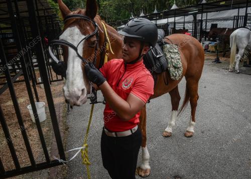 SKUADRON ISTIADAT BERKUDA, KOR ARMOR DIRAJA