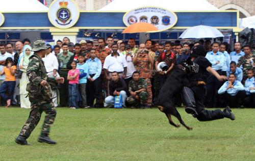 ANGKATAN TENTERA MALAYSIA