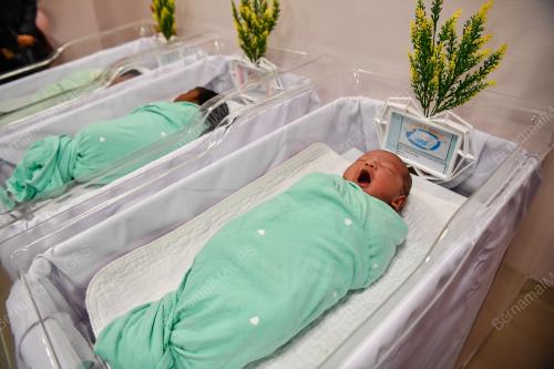 SAMBUTAN BAYI TAHUN BARU 2024