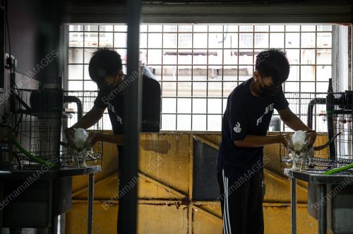 KEDAI HAIWAN PELIHARAAN BEROPERASI