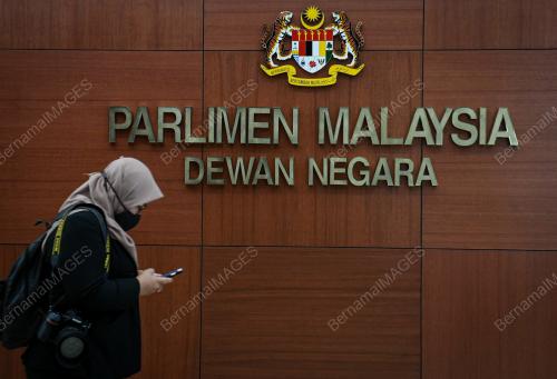 DEWAN NEGARA