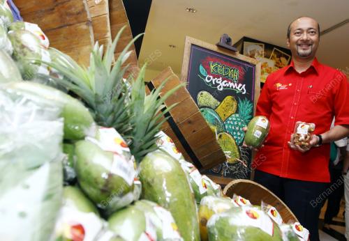 KL30_03052014_KEDAH_ORGANIK