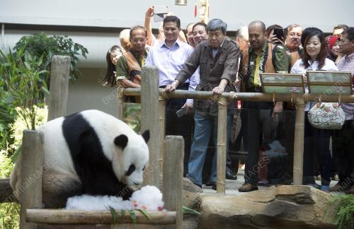 KL30_03092015_ZOO_PANDA