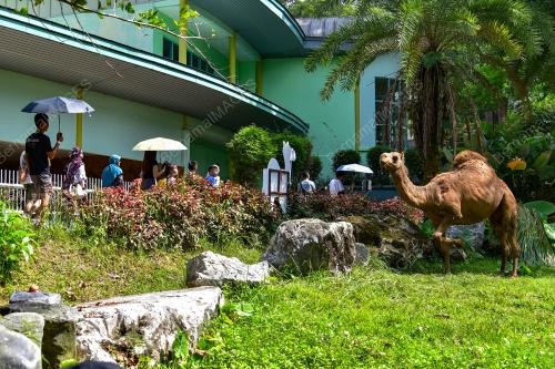 ZOO NEGARA
