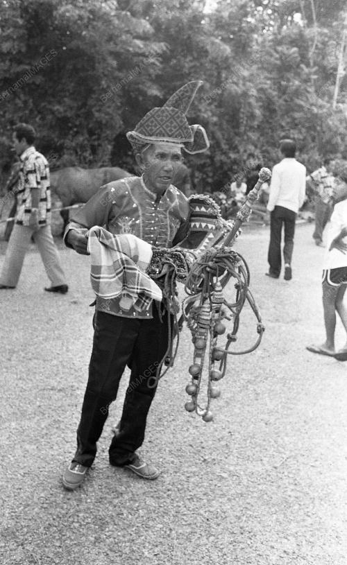 BAJAU HORSEMAN