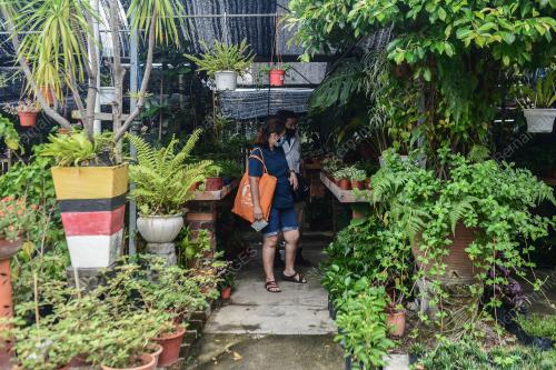 KEDAI BUNGA DAN NURSERI BEROPERASI