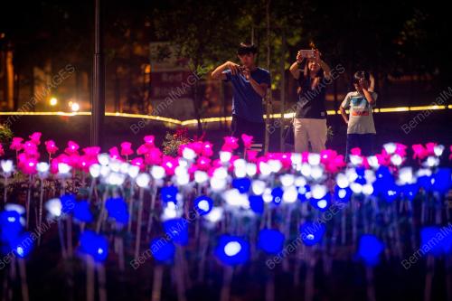 KL30_10122017_ORKID_BN201712093765