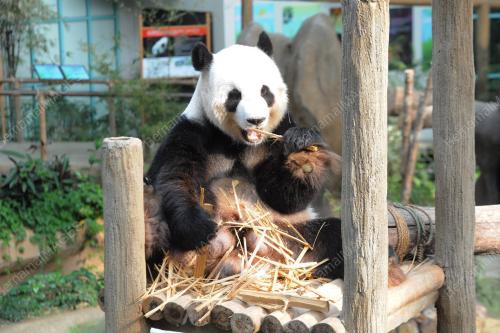 KL30_11072015_FU_WA