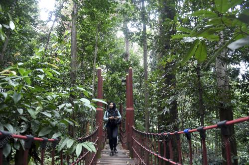 TAMAN EKO RIMBA KUALA LUMPUR (TERKL)