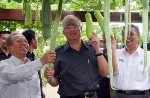 MOHD NAJIB ABDUL RAZAK