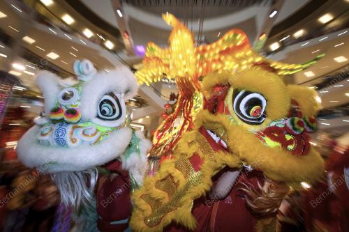 KL30_15012017_TARIAN_SINGA