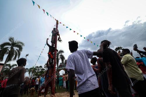 PESTA PONGGAL