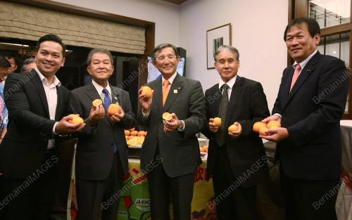 KL30_15112016_PROMOSI_WAKAYAMA