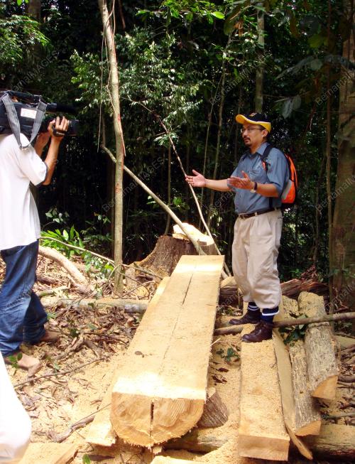 RENJER HUTAN