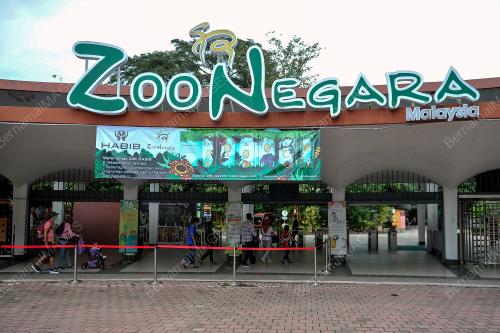 ZOO NEGARA DIBUKA SEMULA