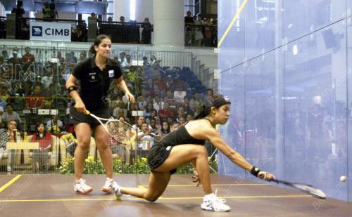 NICOL DAVID