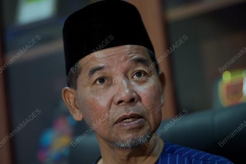 DATUK AHMAD SHAPAWI ISMAIL