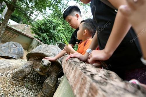KL30_26112018_ZOO