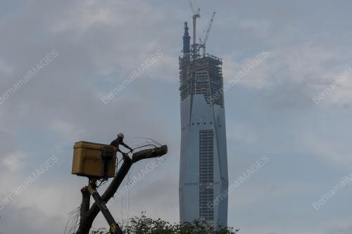 POKOK TUMBANG DI JALAN TRAVERS