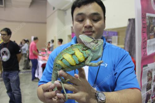 KL30_27062015_PET_WORLD