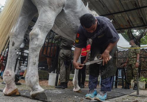 SKUADRON ISTIADAT BERKUDA, KOR ARMOR DIRAJA