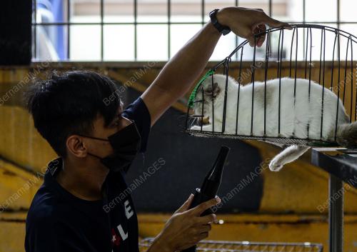 KEDAI HAIWAN PELIHARAAN BEROPERASI