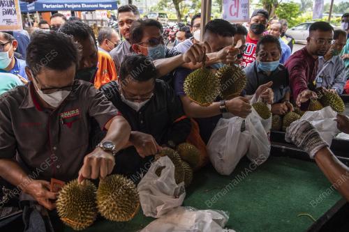 PROGRAM JUALAN TERUS DARI LADANG
