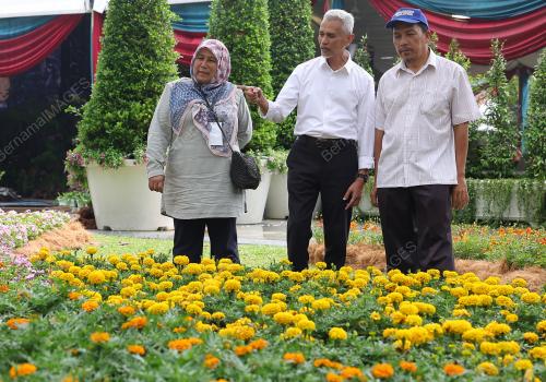 FESTIVAL TAMAN KUALA LUMPUR