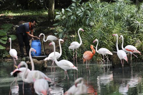 ZOO NEGARA - PERINTAH KAWALAN PERGERAKAN COVID 19
