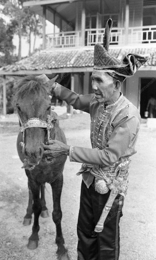 BAJAU HORSEMAN
