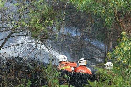 KEBAKARAN HUTAN