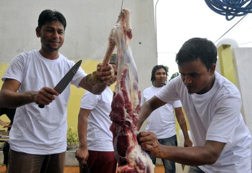 KL31_12092016_LEMBU_KORBAN