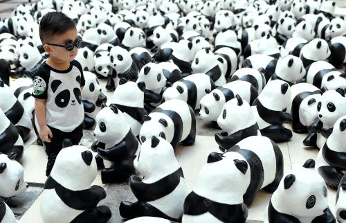 KL31_13012015_1600PANDA