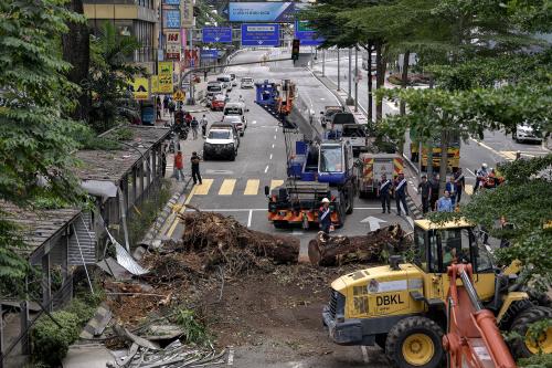 POKOK TUMBANG JALAN PUDU