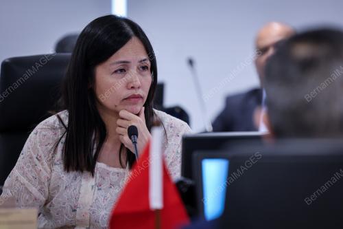 TEO NIE CHING