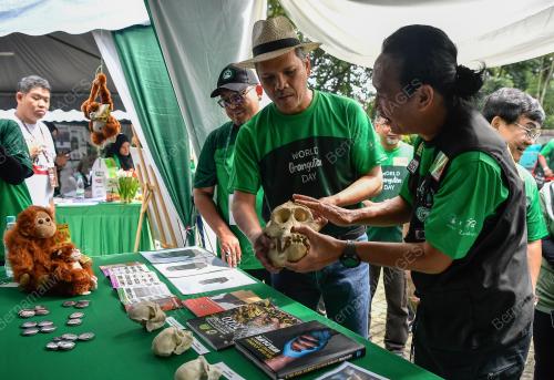 DATUK MAD ZAIDI MOHD KARLI @ SUKARI