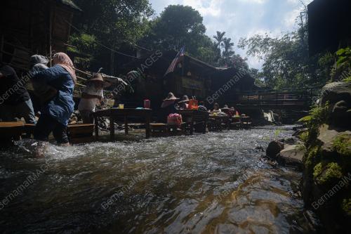 ECOTOURISM BBQ LAMB KL KEMENSAH