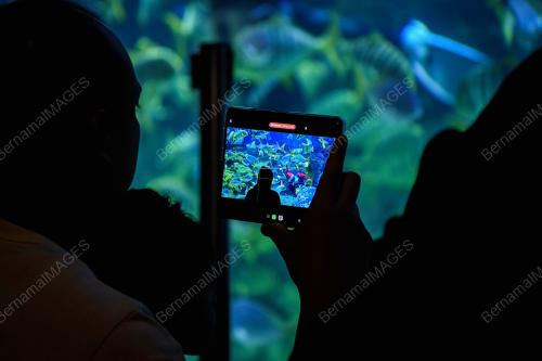 SAMBUTAN KRISMAS DI AQUARIA